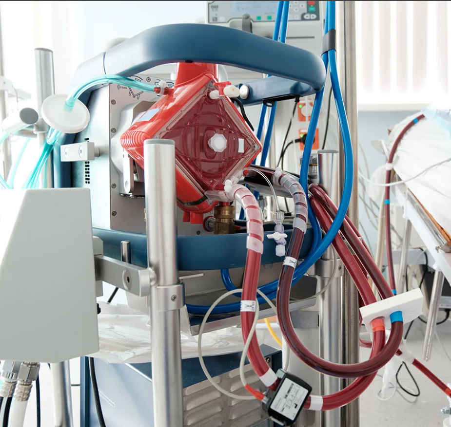 Terapia ECMO
